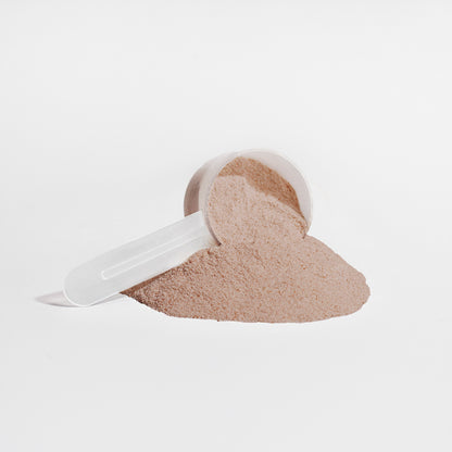 Plant Protein (Chocolate Milkshake)