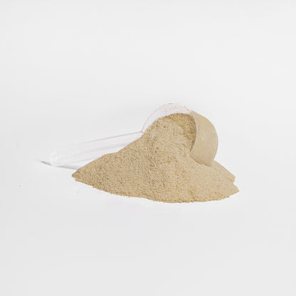 Plant Protein (Vanilla Milkshake)