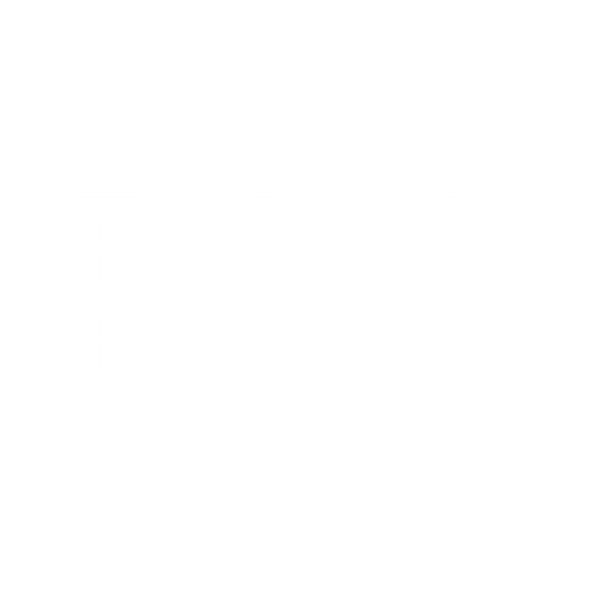 BodyMindCEO